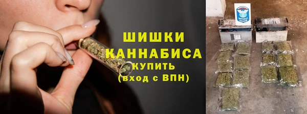 spice Пересвет