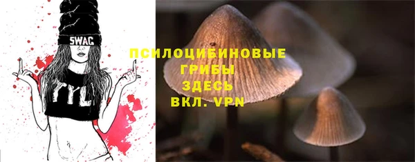 spice Пересвет