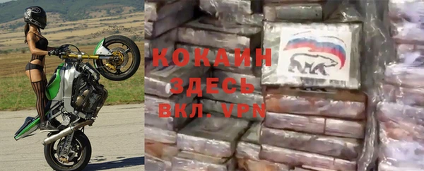 spice Пересвет