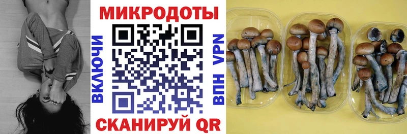 Галлюциногенные грибы Magic Shrooms  Купить закладки  Катайск 